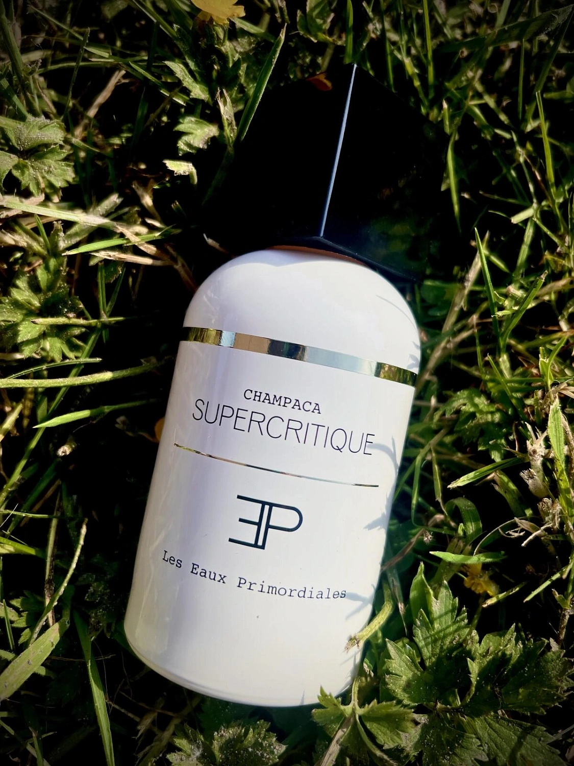 Les Eaux Primordiales Champaca Supercritique