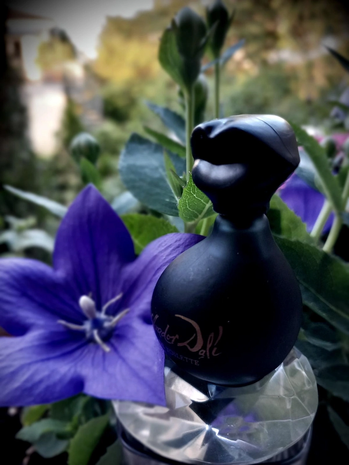 Salvador Dali Dalimix Black Salvador Dali Dalimix Black