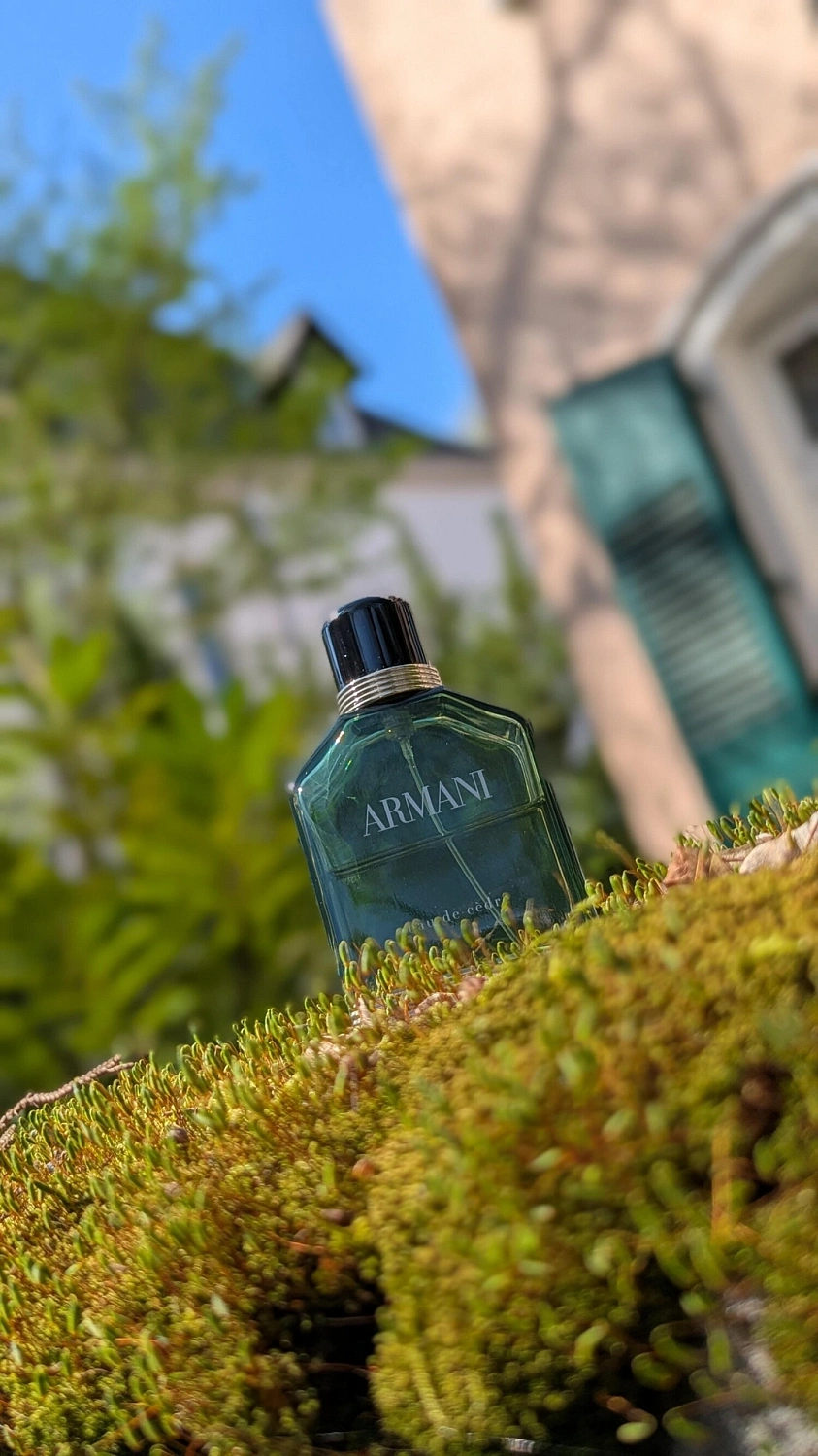 Armani Eau de Cedre