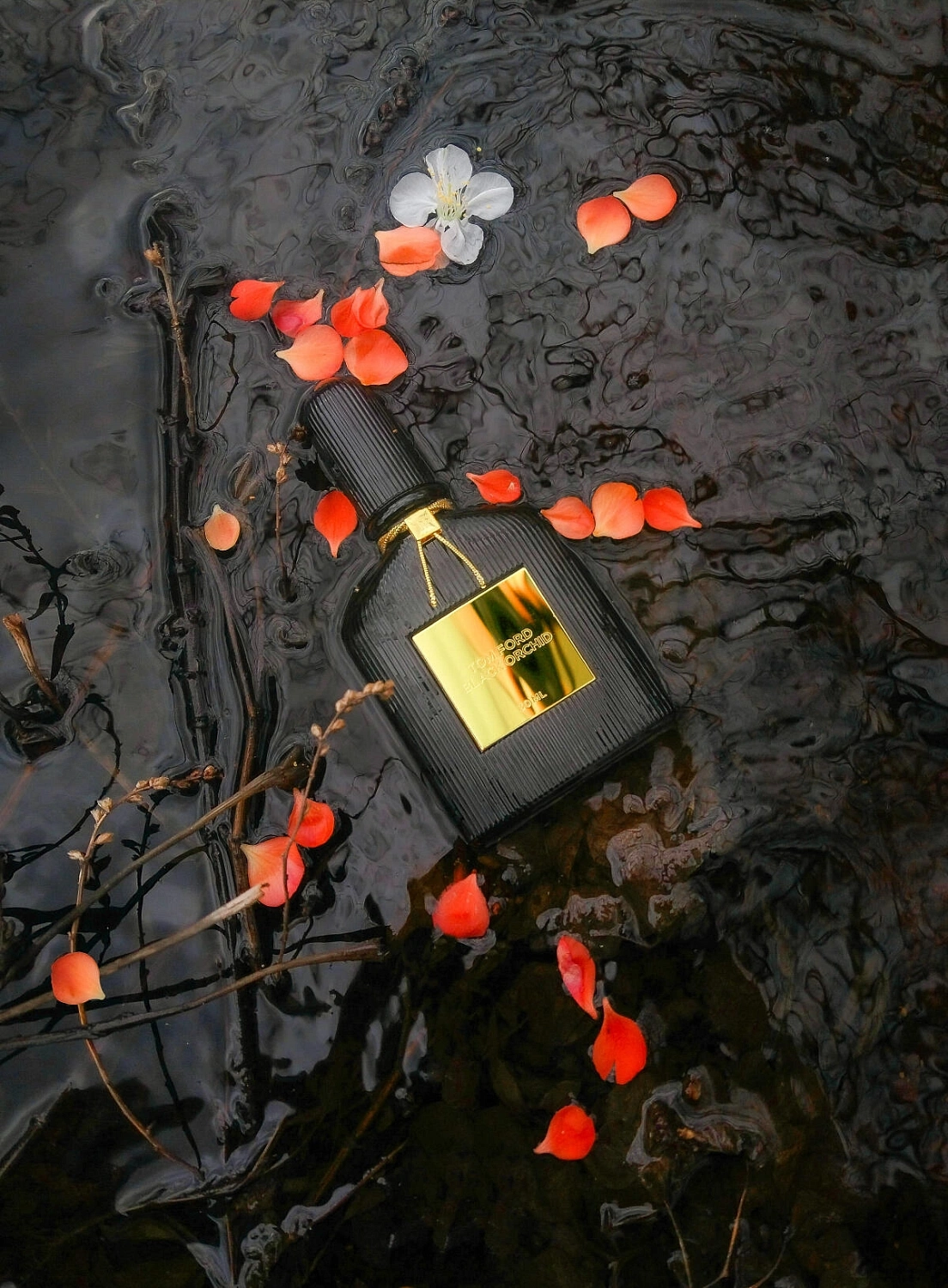 Tom Ford Black Orchid