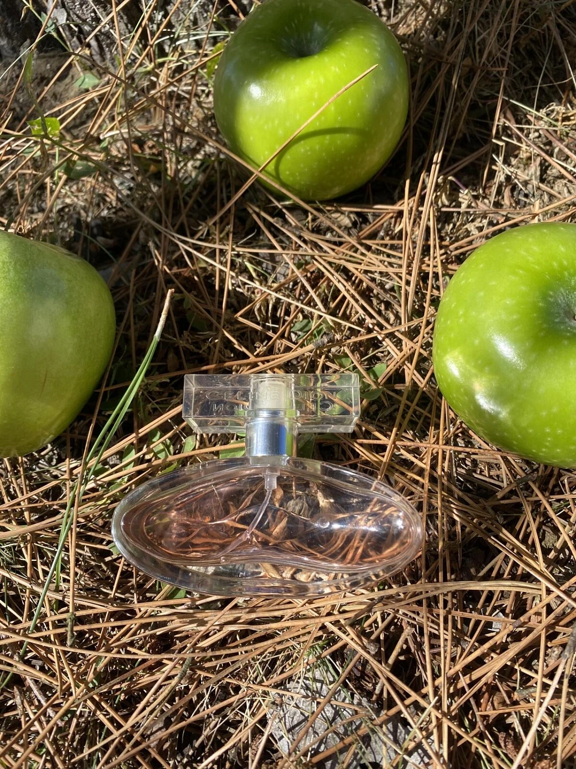 Celine Dion Sensational