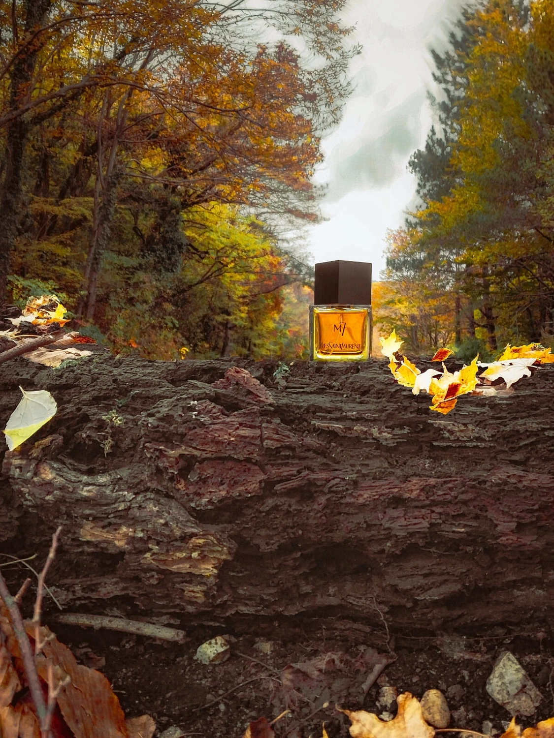 Yves Saint Laurent M7