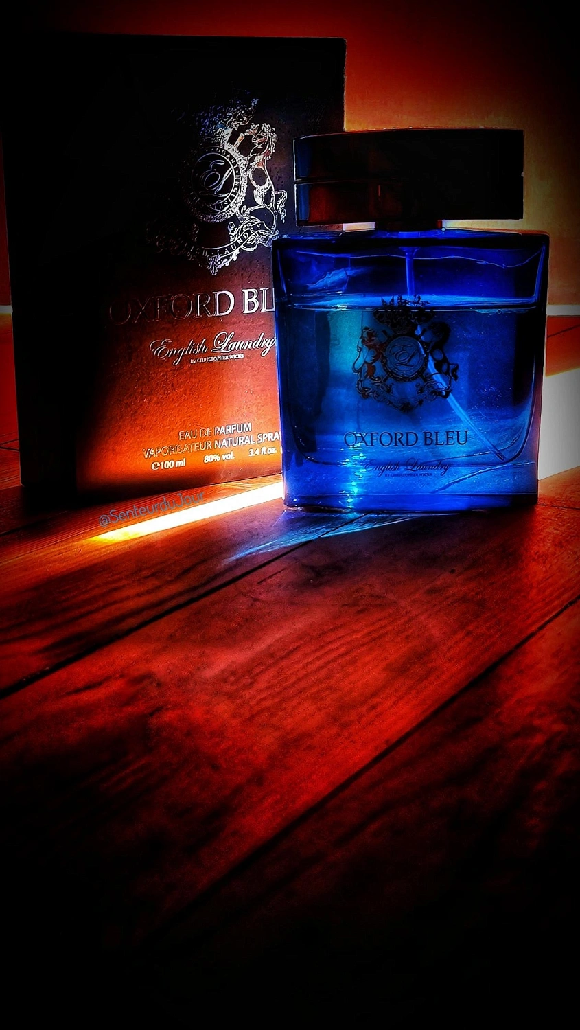 English Laundry Oxford Bleu