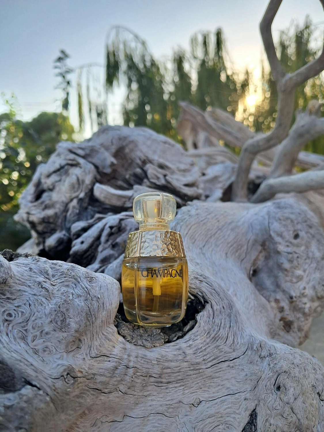 Yves Saint Laurent Yvresse