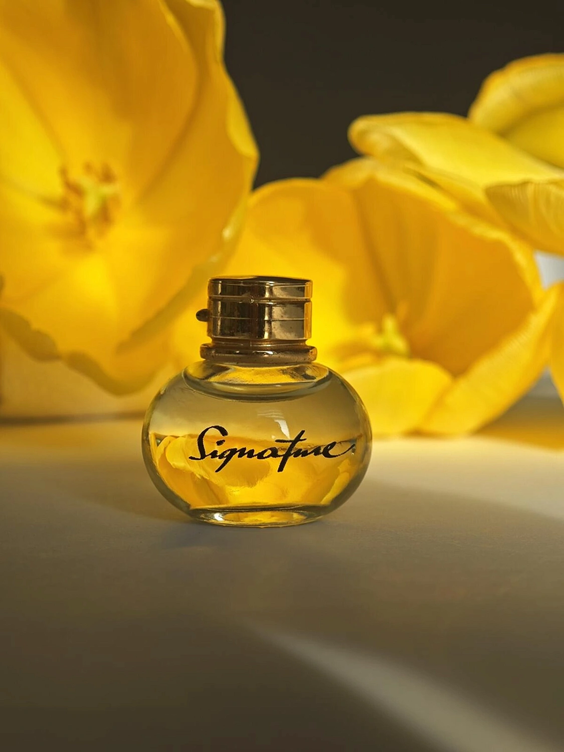 S.T.Dupont Signature