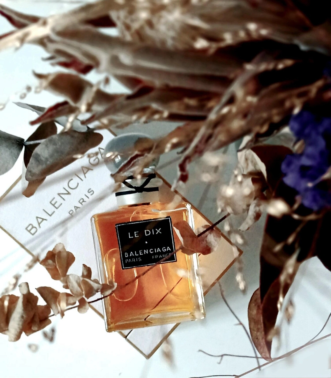 Balenciaga Le Dix (2025)