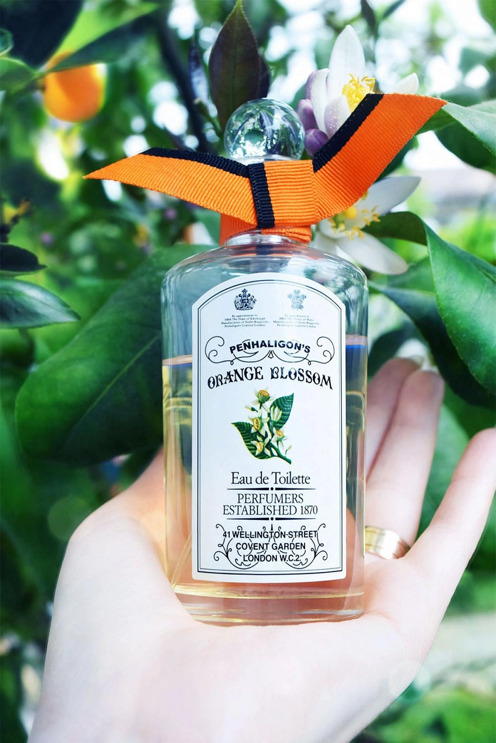 Penhaligon's Orange Blossom