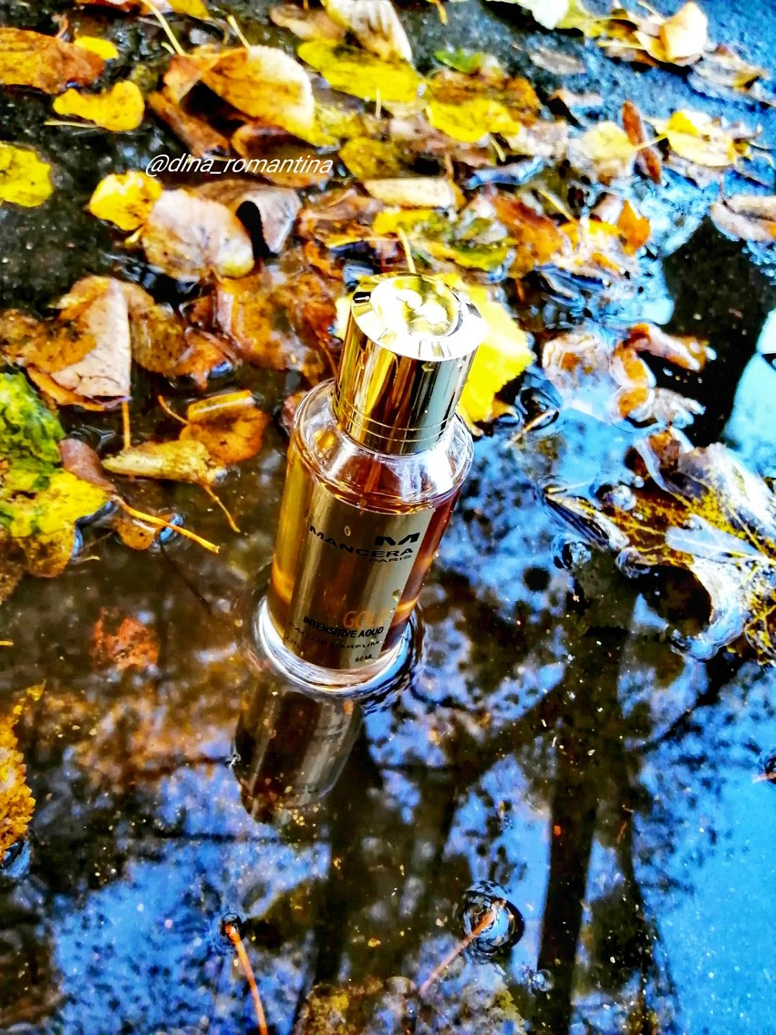 Mancera Gold Intensive Aoud