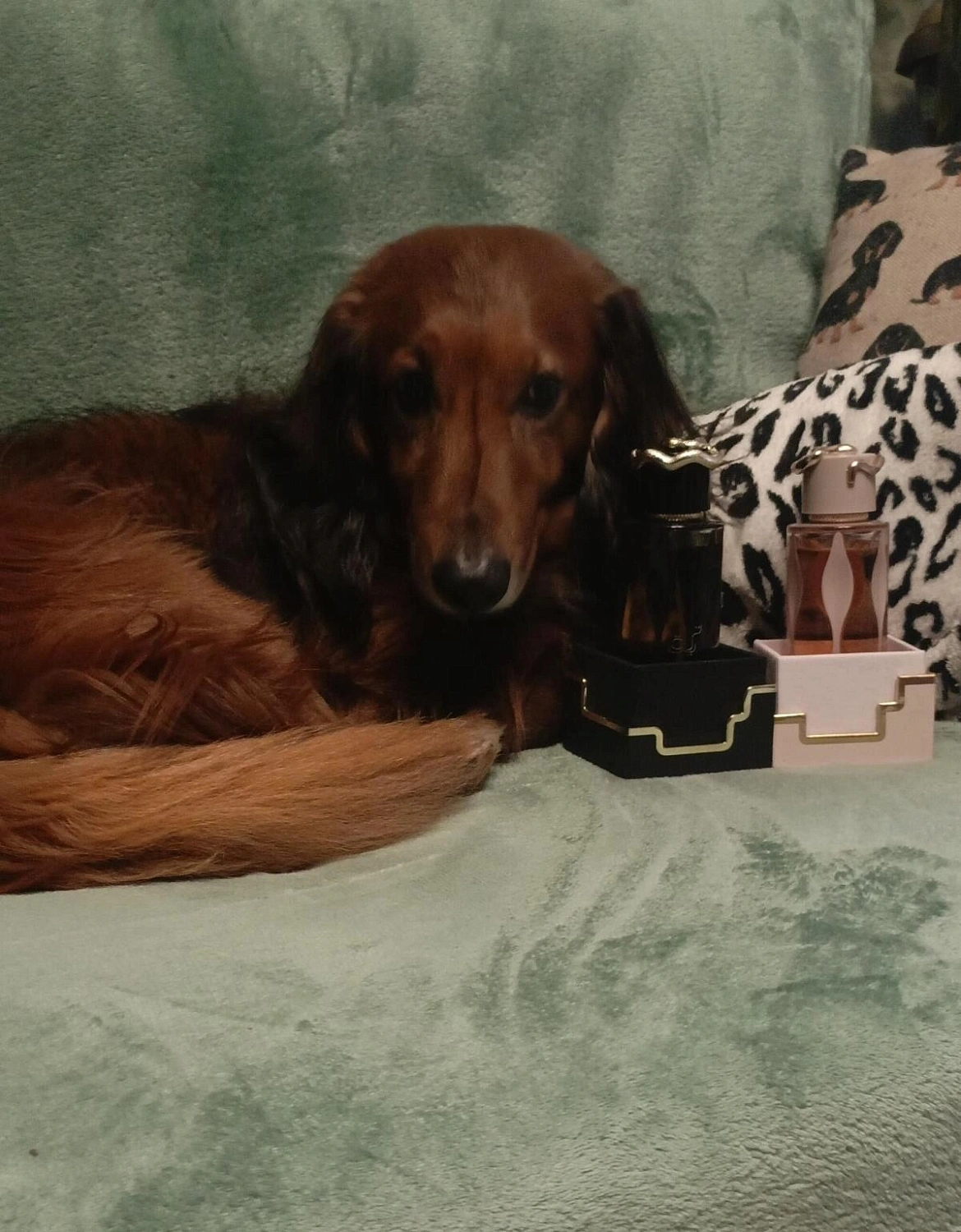 Lattafa Teriaq Intense