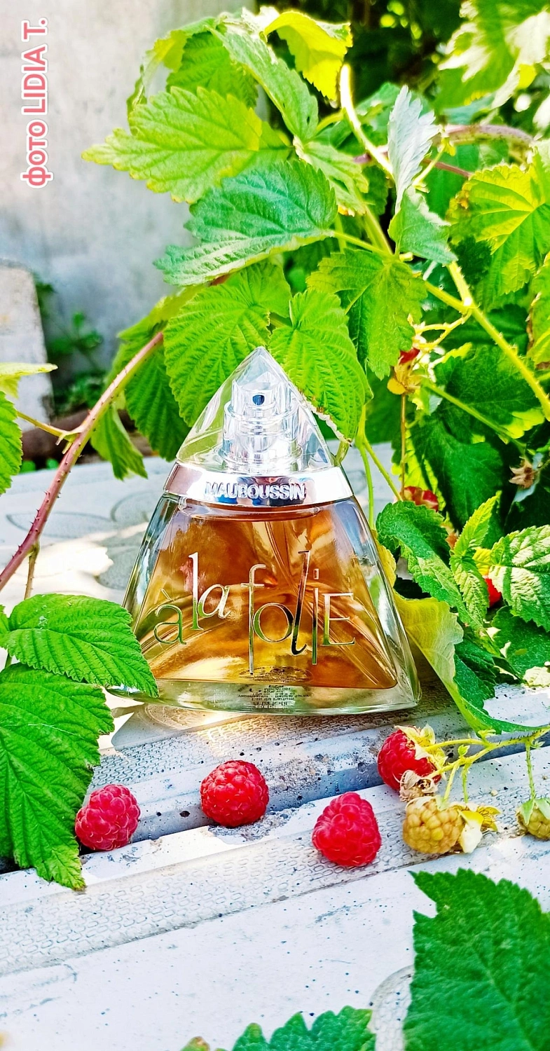 Mauboussin à la Folie