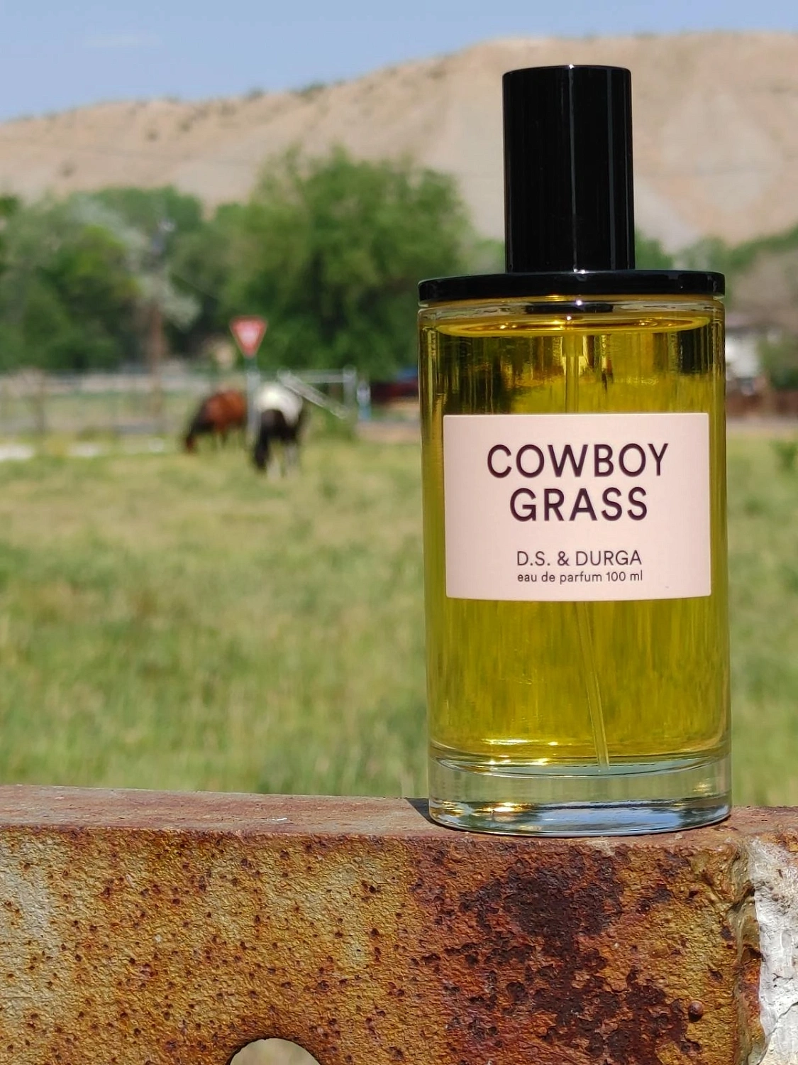 D.S. & Durga Cowboy Grass