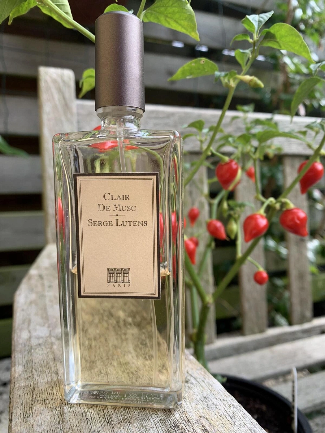 Serge Lutens Clair de Musc