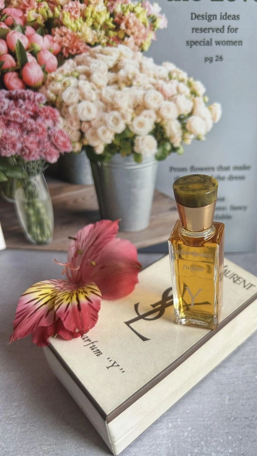 Yves Saint Laurent Y Yves Saint Laurent Y