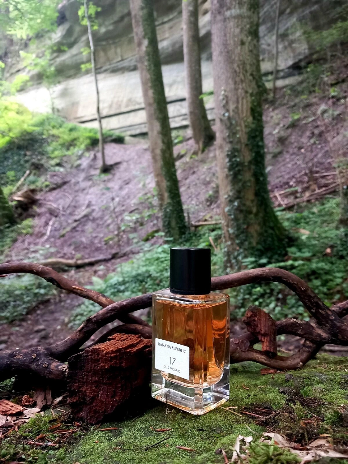 Banana Republic 17 Oud Mosaic