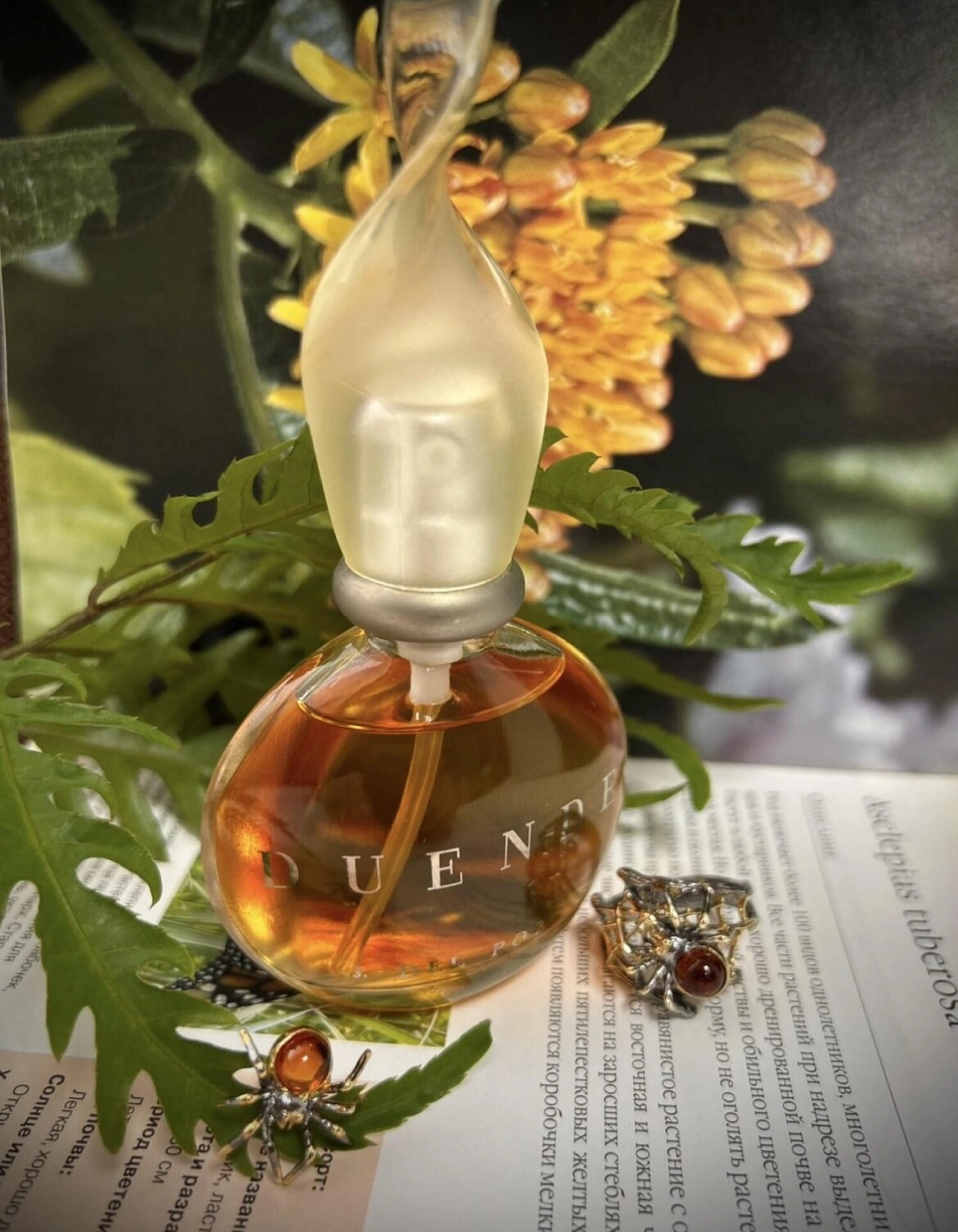 Jesús del Pozo Duende