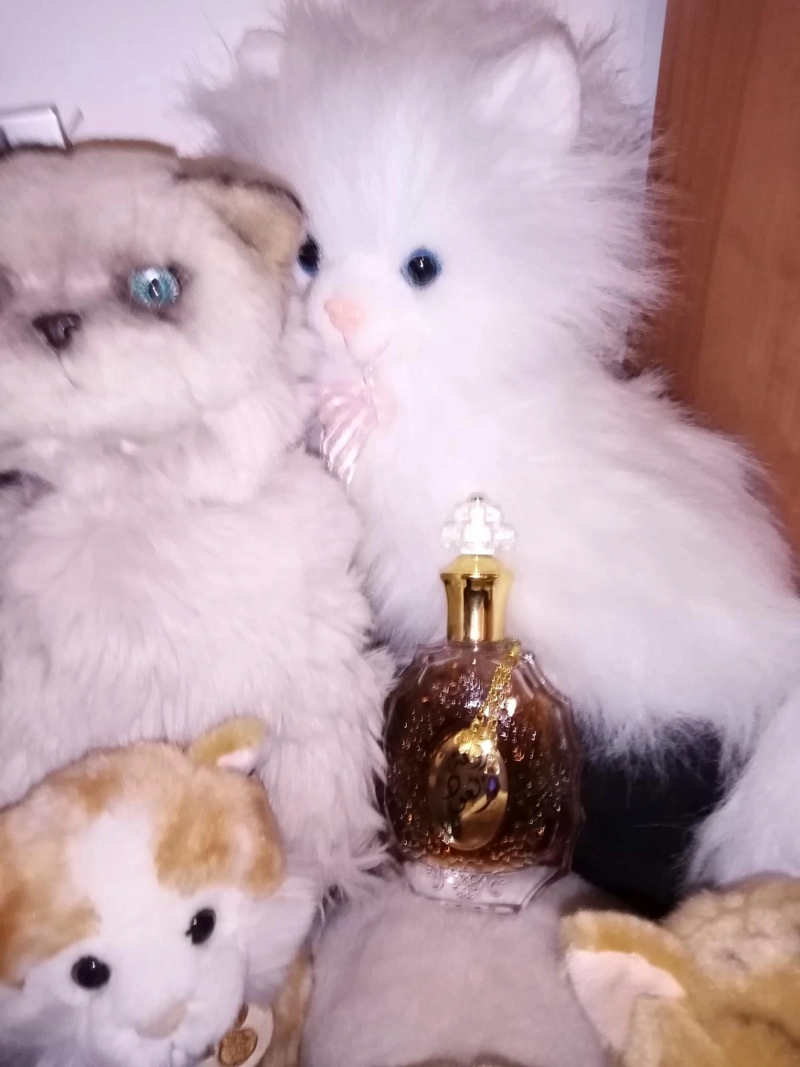 Lattafa Rouat Al Oud