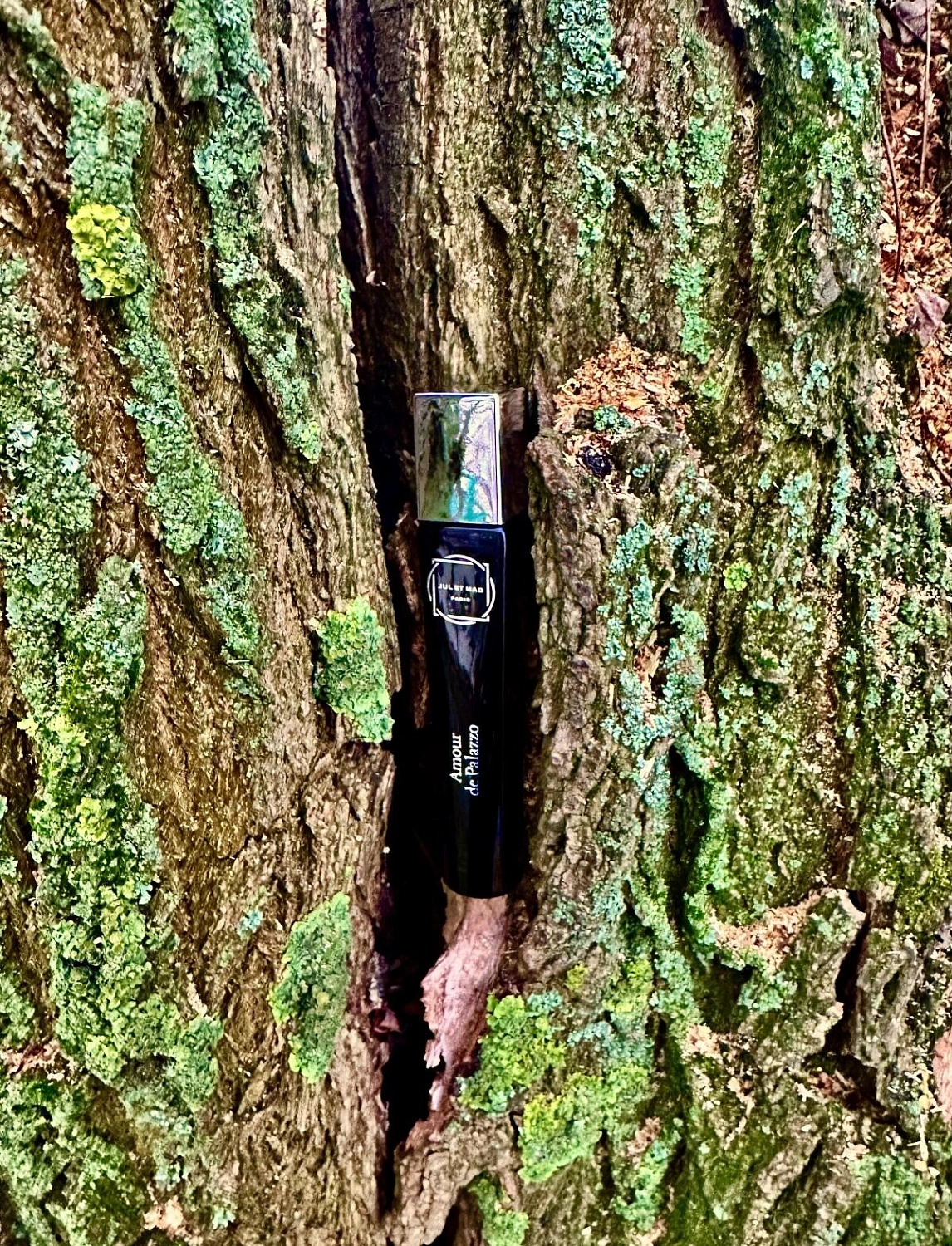 Jul et Mad Amour de Palazzo