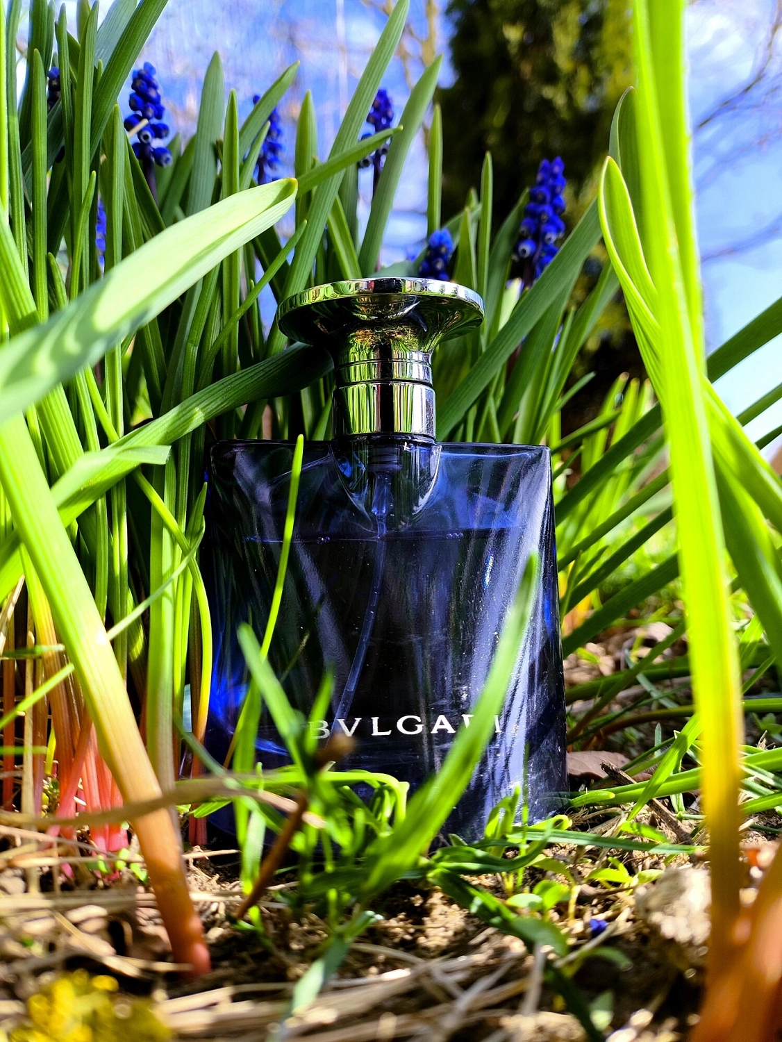Bvlgari BLV Notte