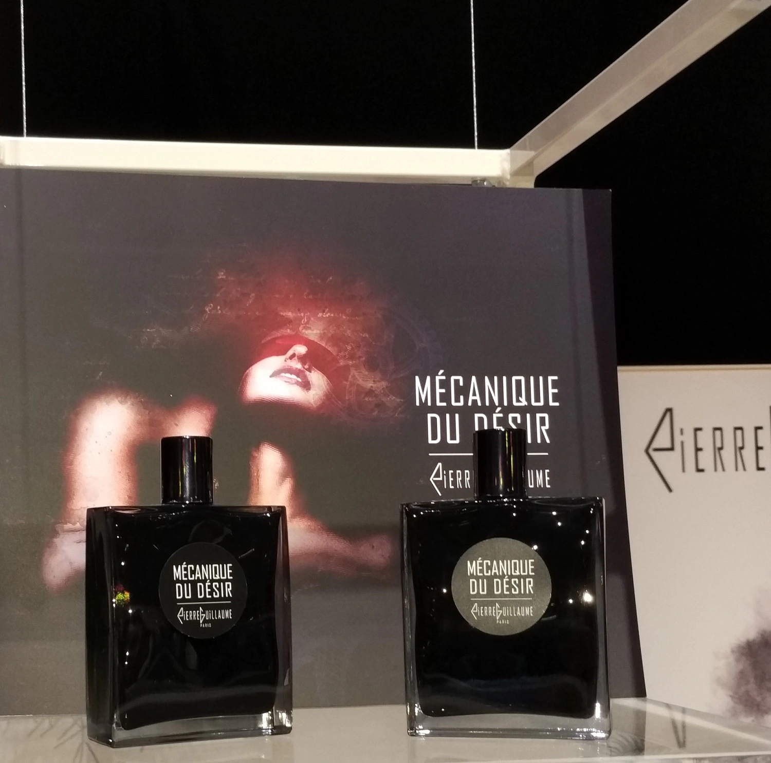 Pierre Guillaume Mecanique Du Desir