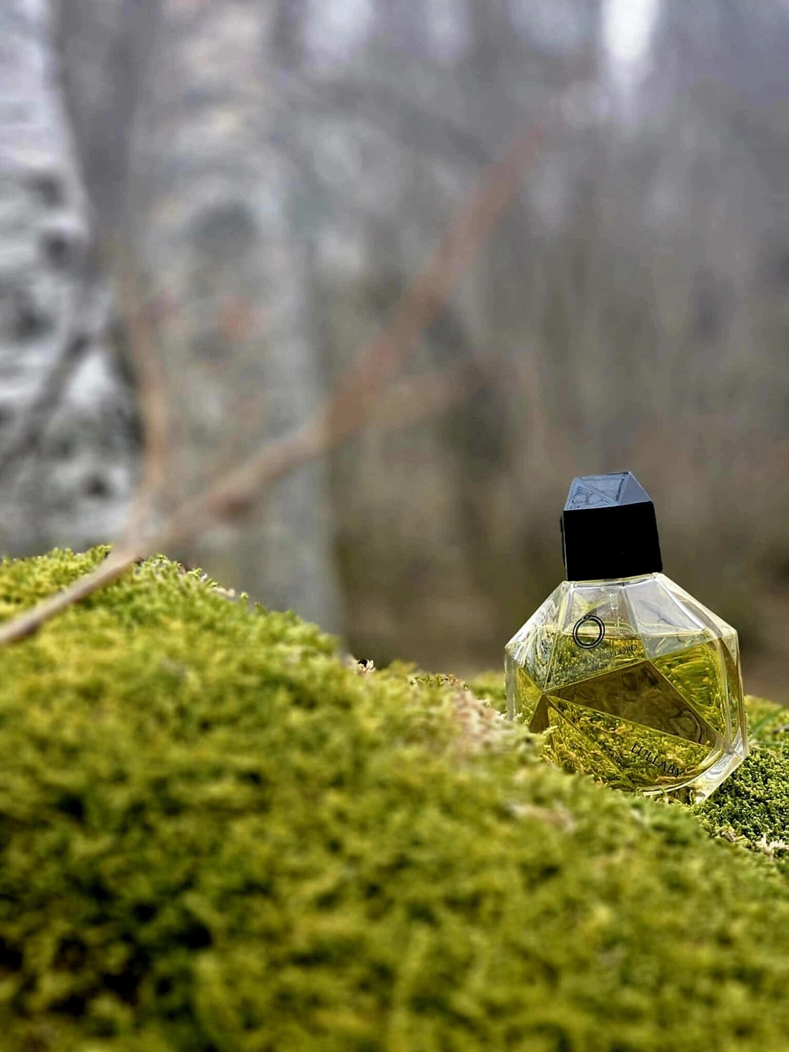 Francesca Dell'Oro Lullaby