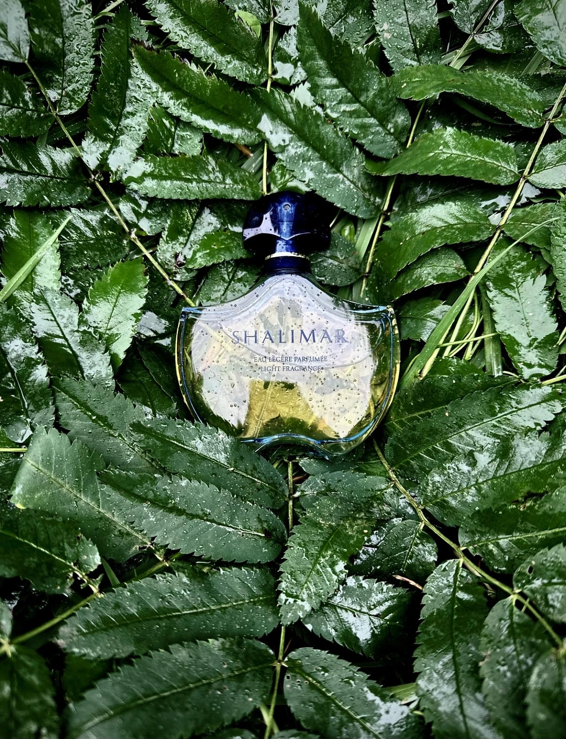 Guerlain Shalimar Legere (Light)