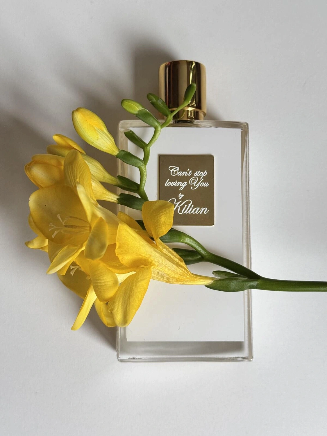 By Kilian Can't Stop Loving You