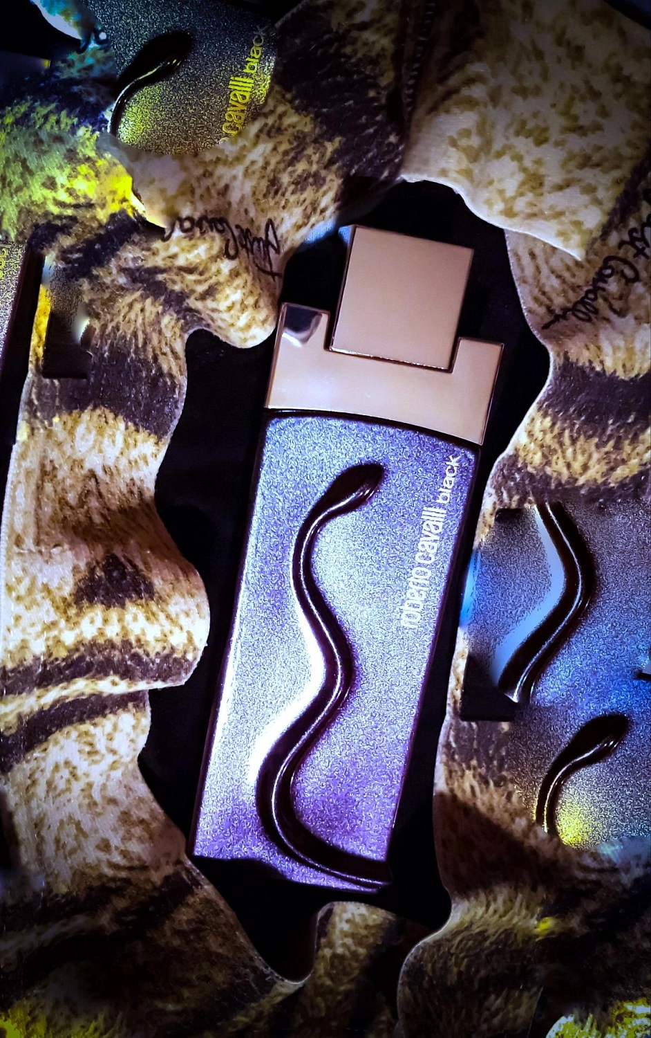 Roberto Cavalli Black