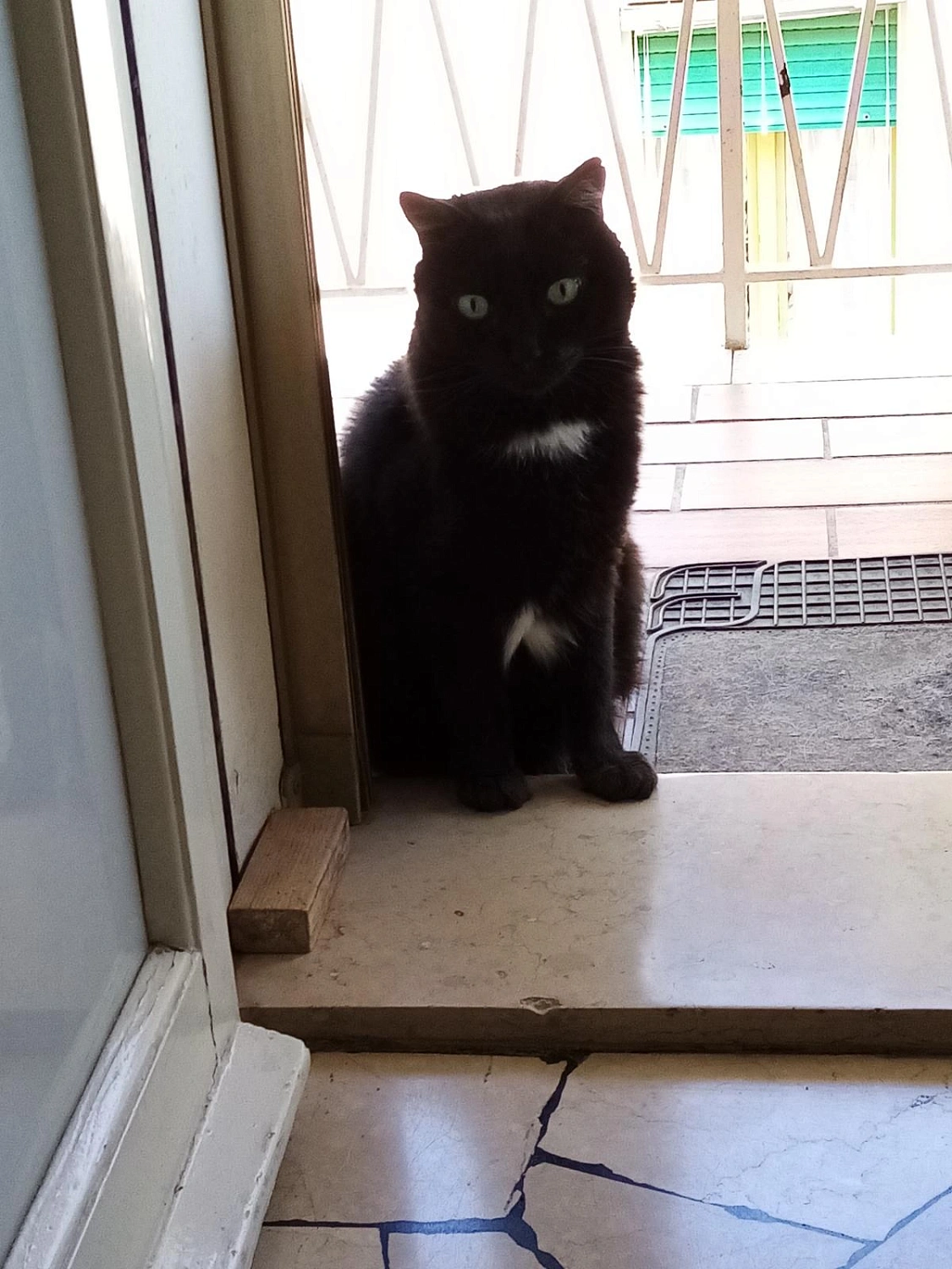 Bait Al Bakhoor Dahaab Saafi