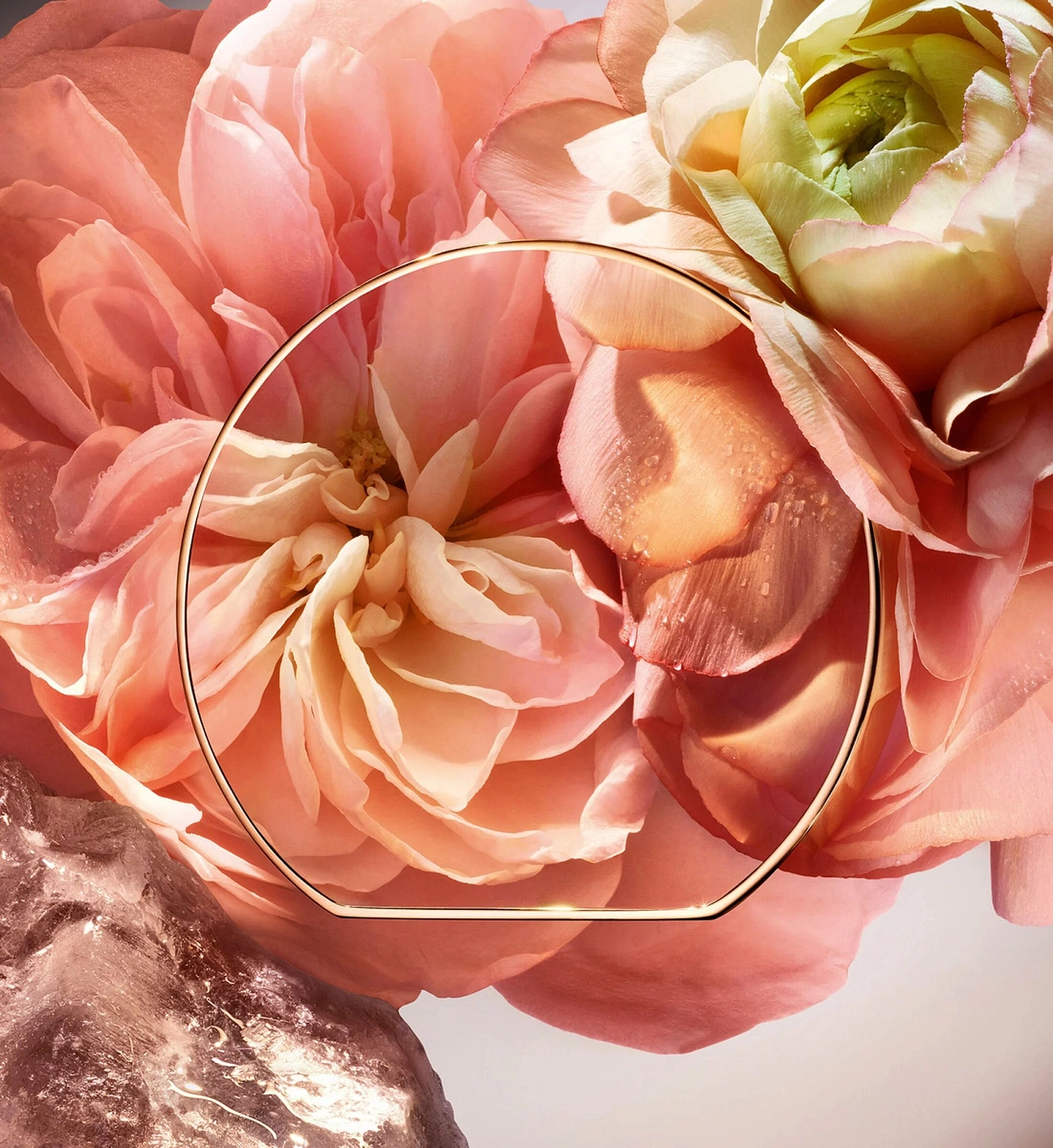 Lancome Absolue 1001 Roses