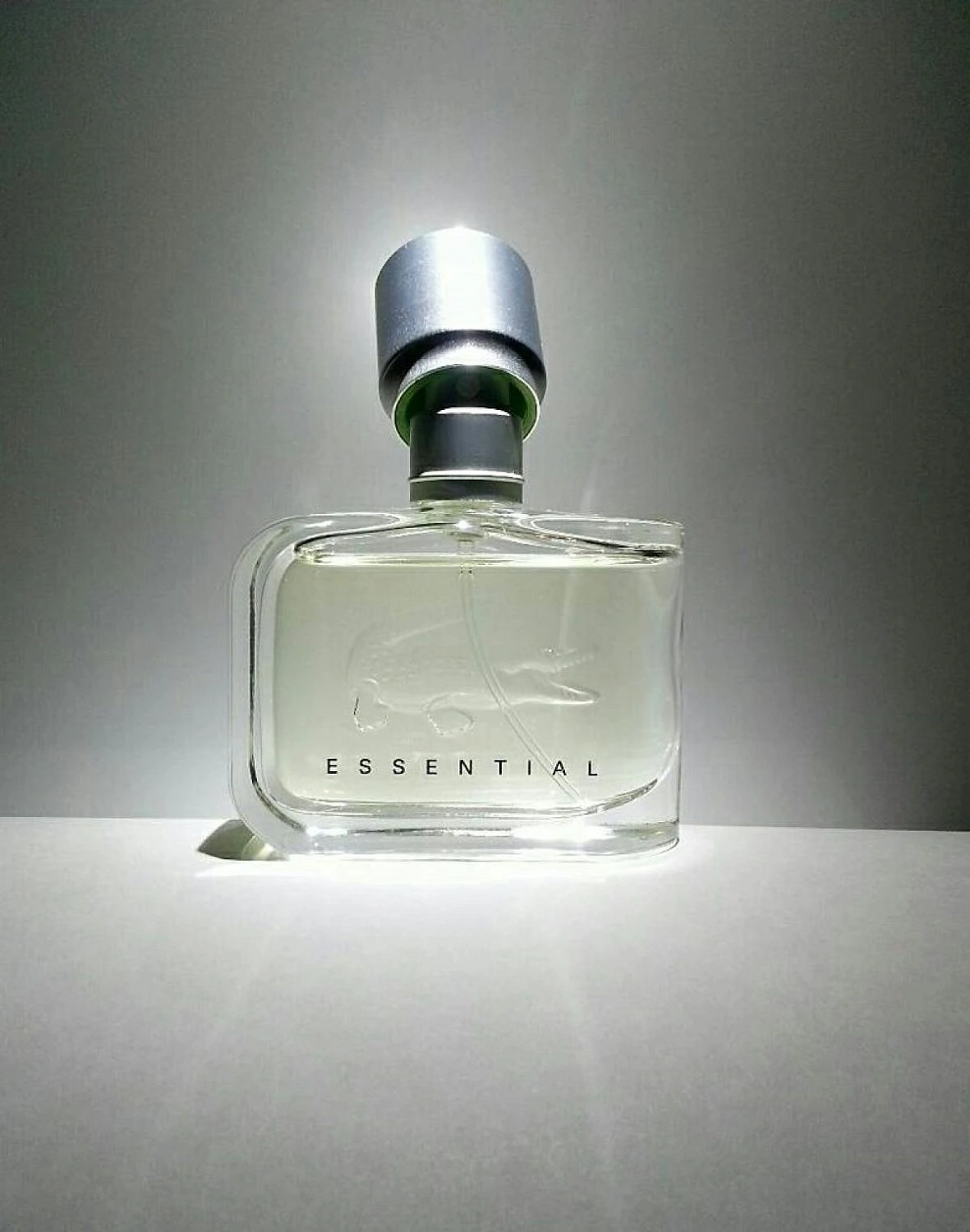 LACOSTE Essential LACOSTE Essential