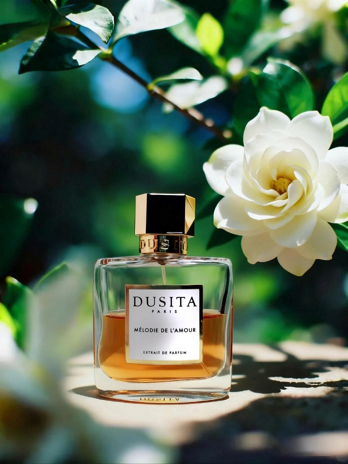 Dusita Melodie de L'Amour