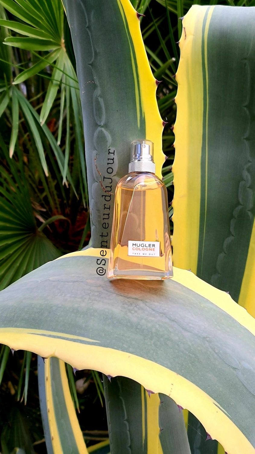 Mugler Cologne Take Me Out