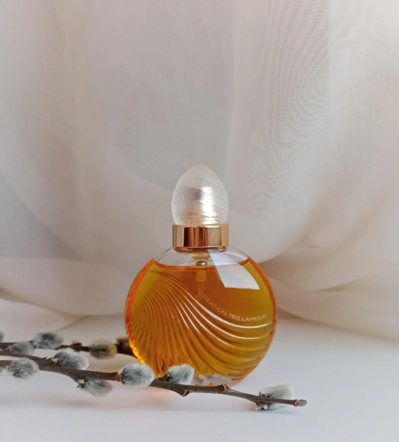 Ted Lapidus Creation