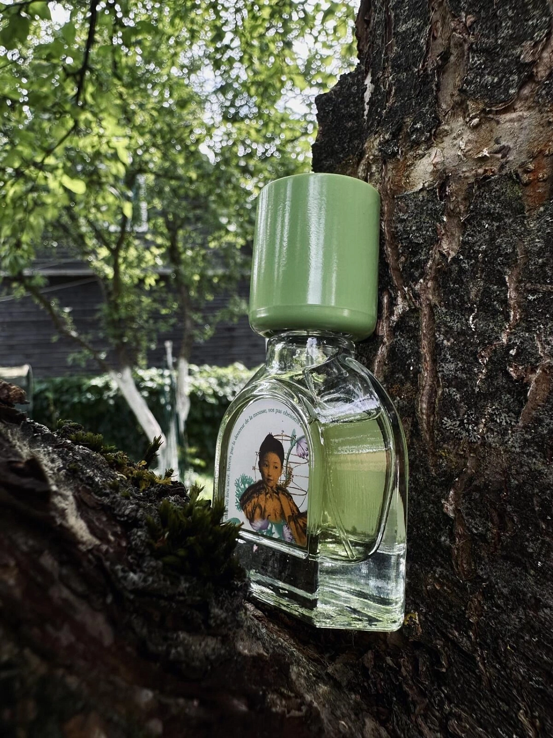 Le Jardin Retrouve Mousse Arashiyama