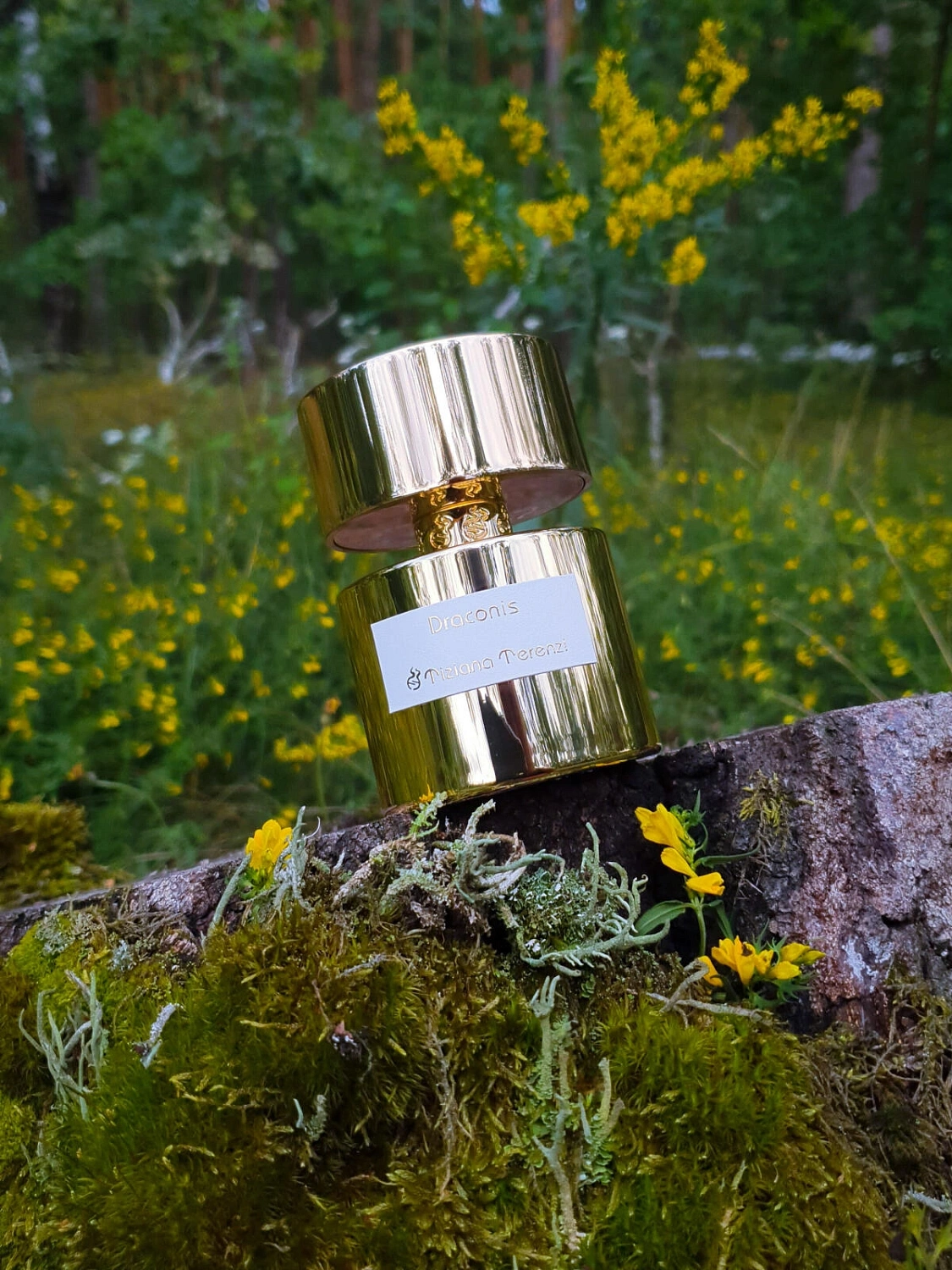 Tiziana Terenzi Draconis