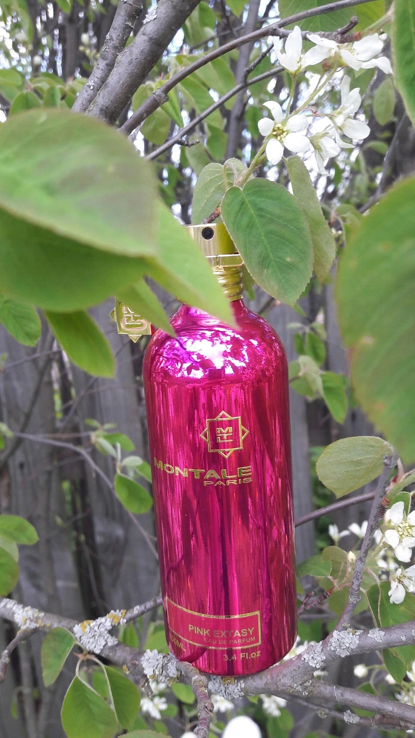 MONTALE Pink Extasy MONTALE Pink Extasy