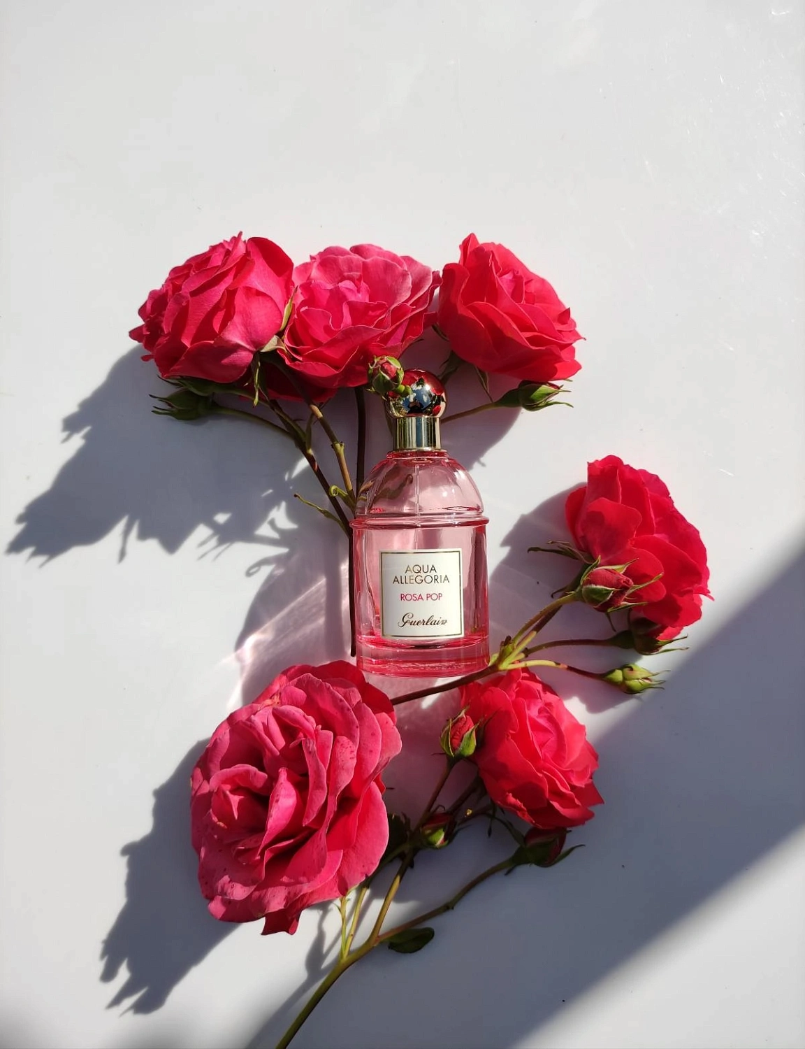 Guerlain Aqua Allegoria Rosa Pop Guerlain Aqua Allegoria Rosa Pop