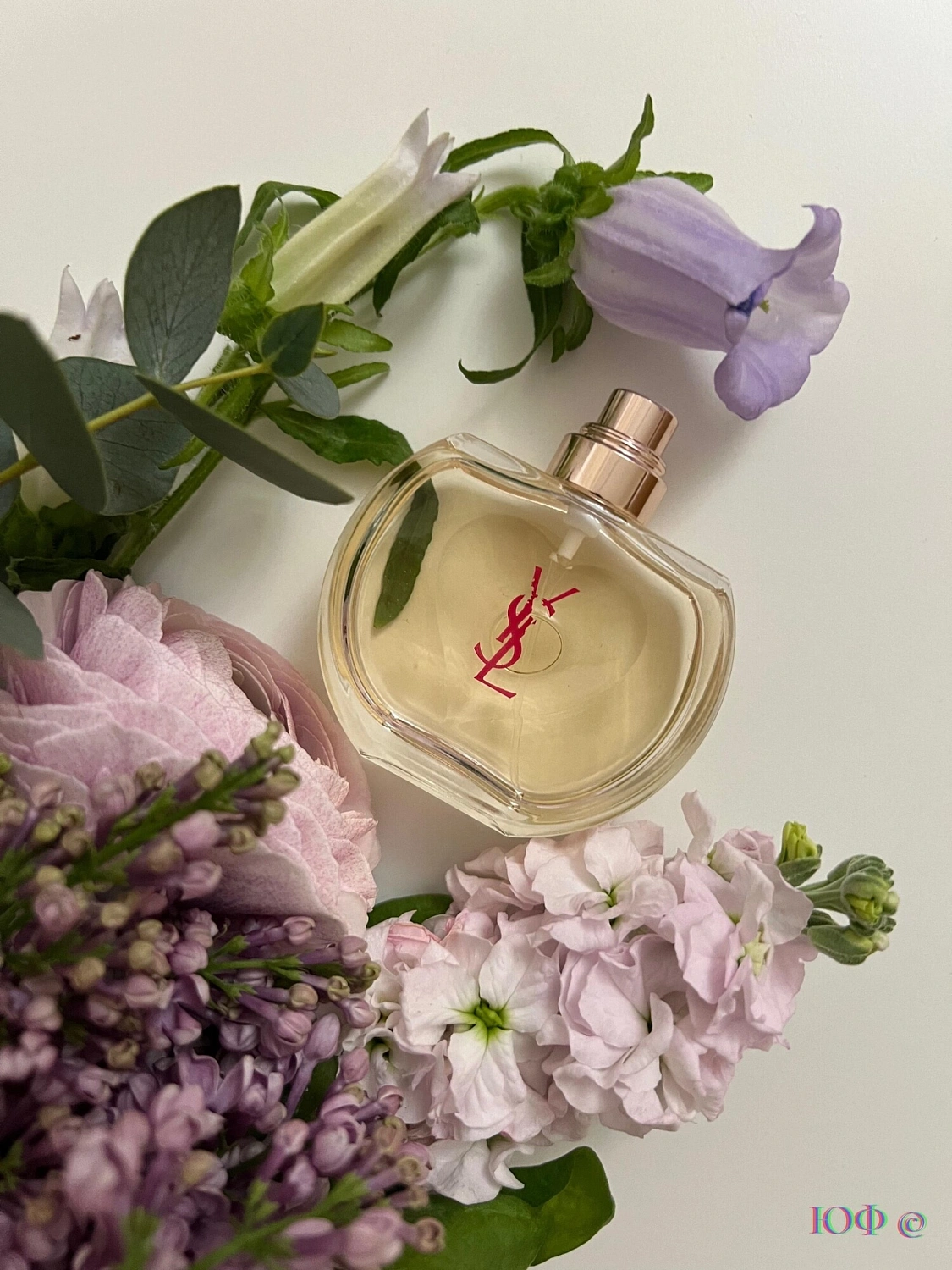 Yves Saint Laurent Young Sexy Lovely