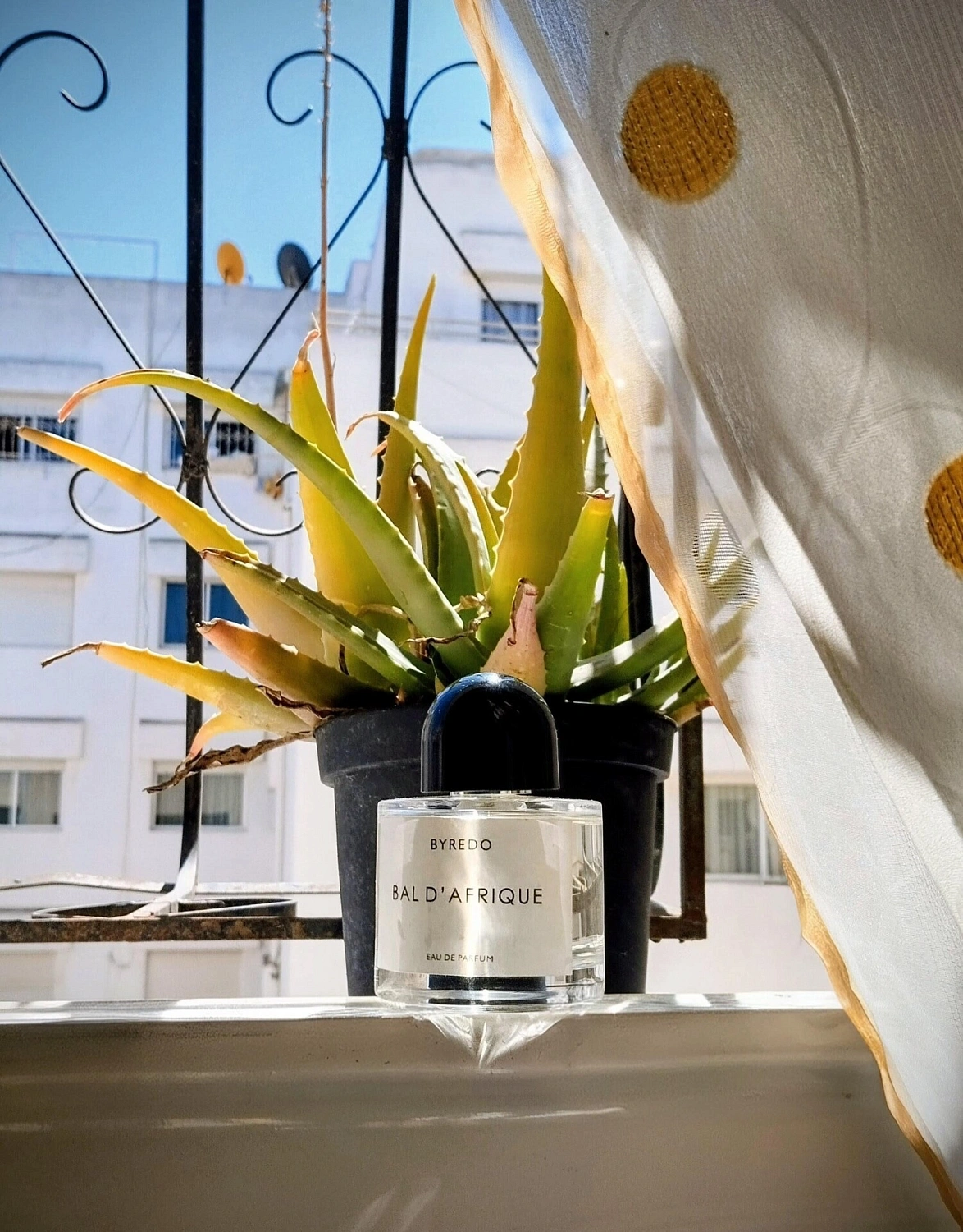 BYREDO Bal d'Afrique