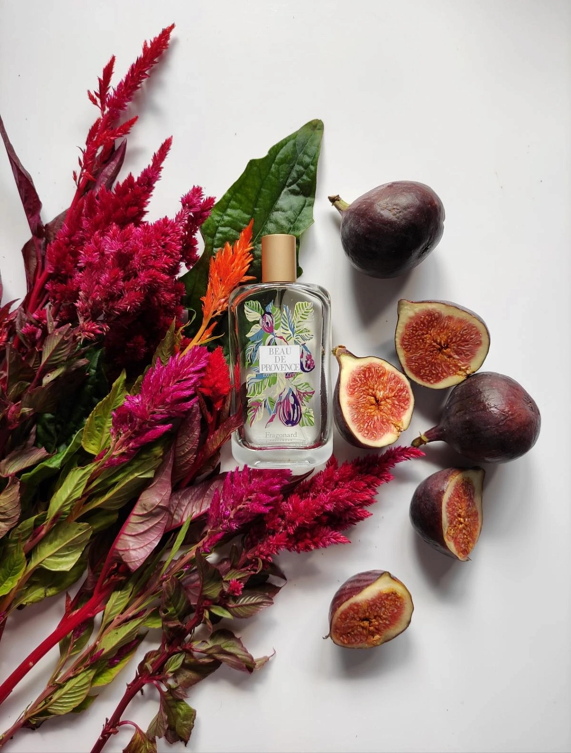 Fragonard Beau De Provence