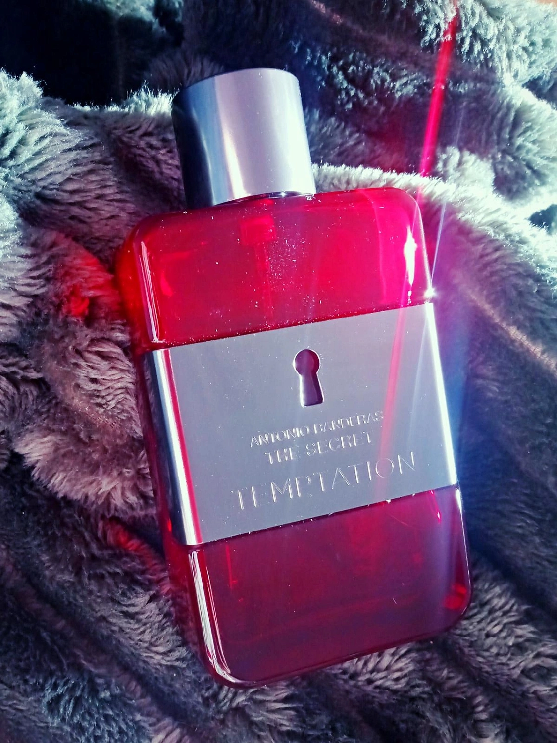 Antonio Banderas The Secret Temptation