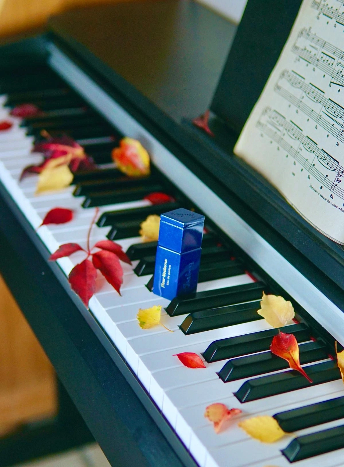 Panouge Isabey Fleur Nocturne