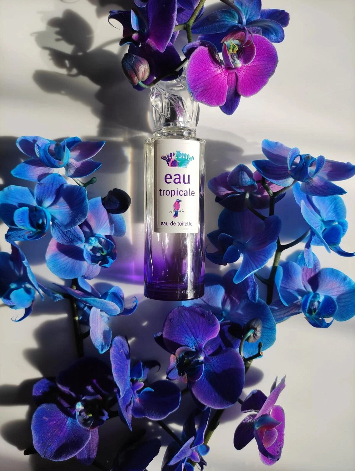 Sisley Eau Tropicale