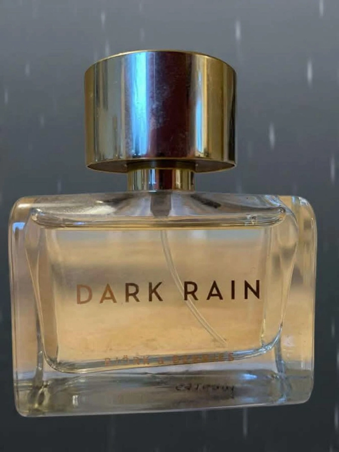 Bjork and Berries Dark Rain