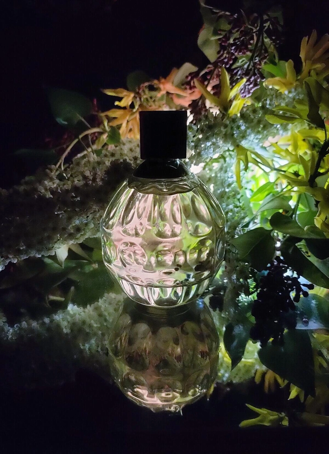 Jimmy Choo Eau de Toilette Jimmy Choo Eau de Toilette