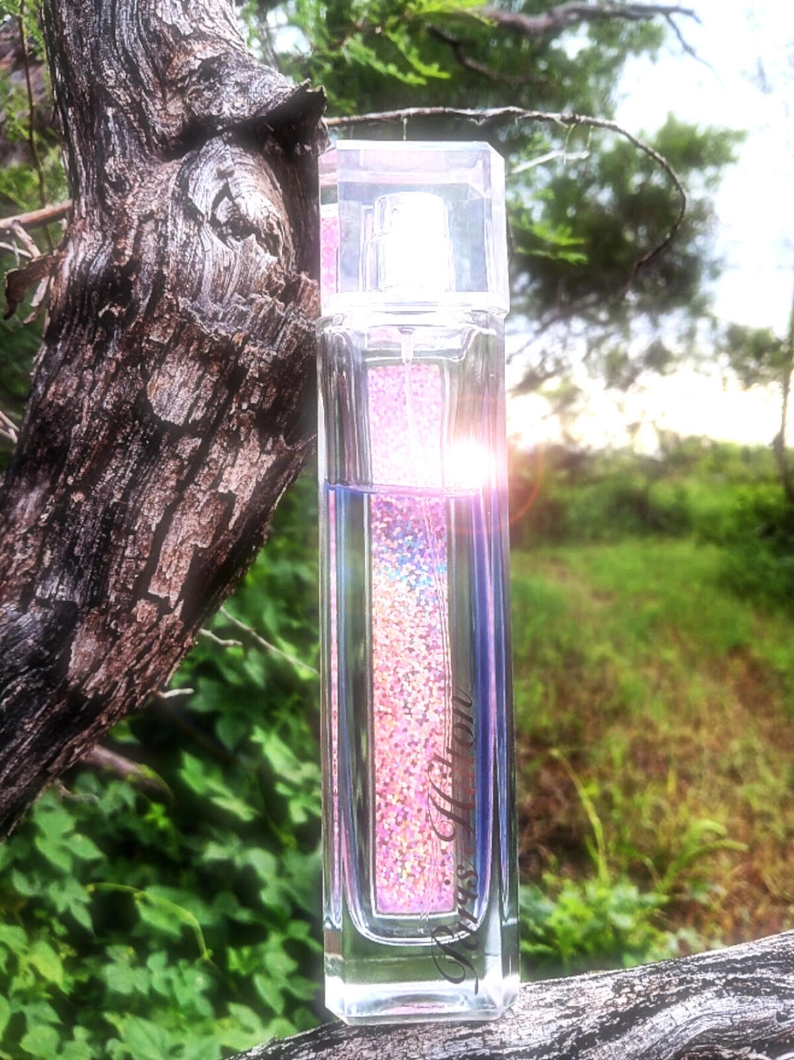 Paris Hilton Heiress