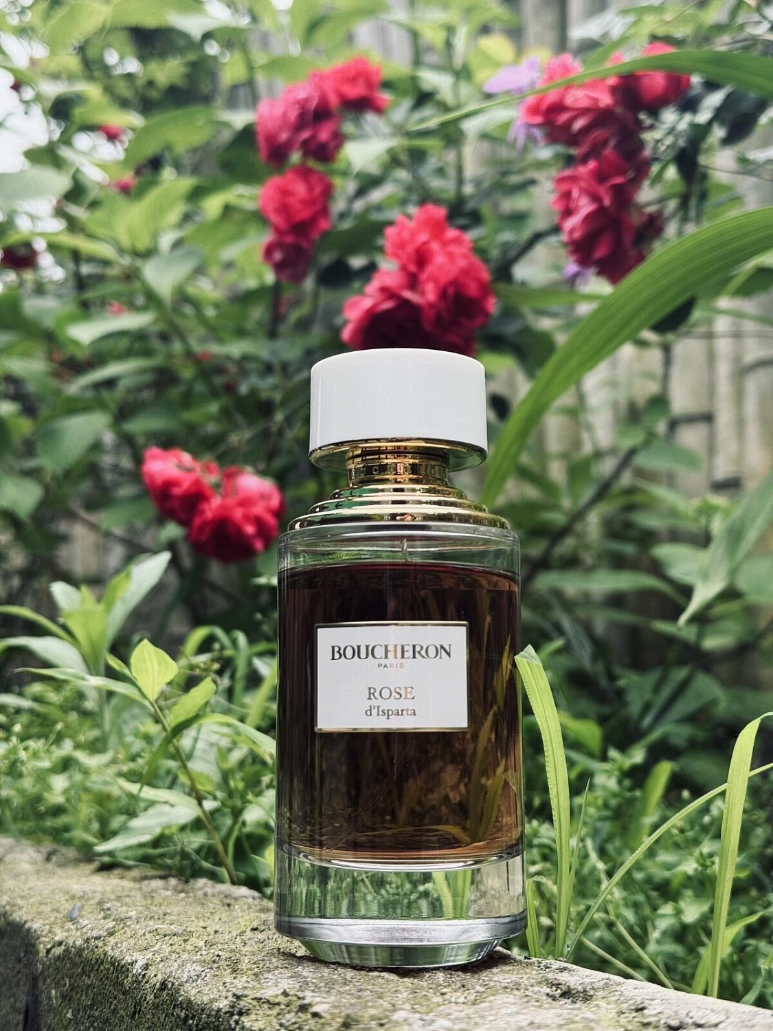 Boucheron Rose D'Isparta Boucheron Rose D'Isparta