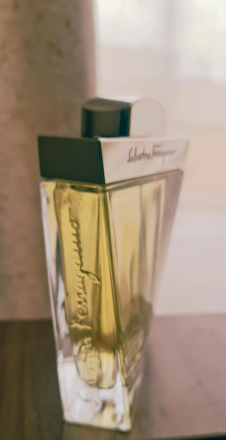 Salvatore Ferragamo pour Homme