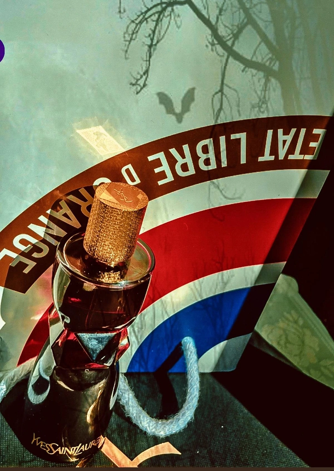 Yves Saint Laurent Manifesto l’Elixir