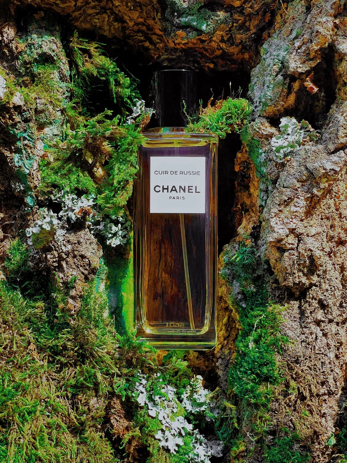 Chanel Cuir de Russie
